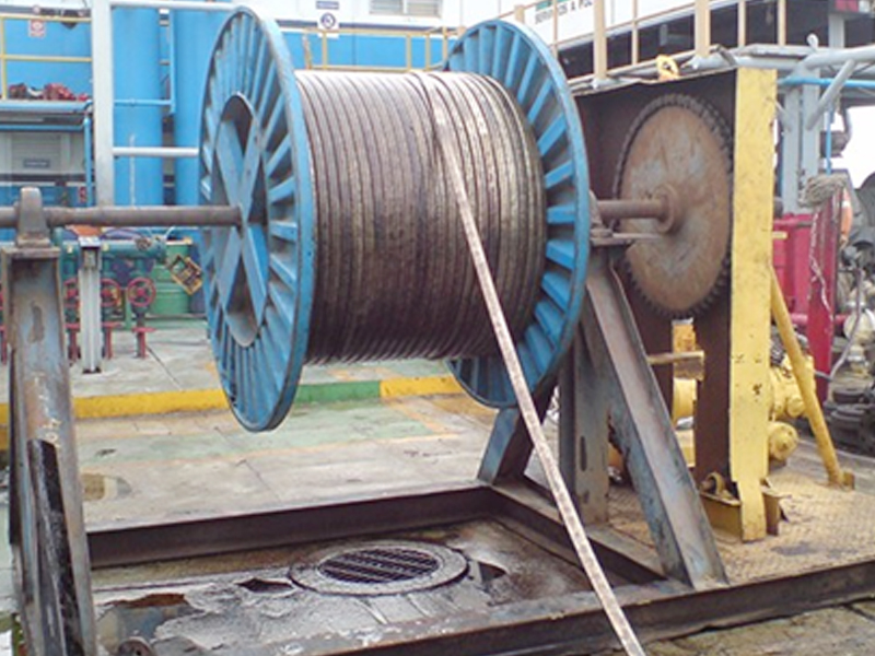 Electric Submersible Pump(ESP)