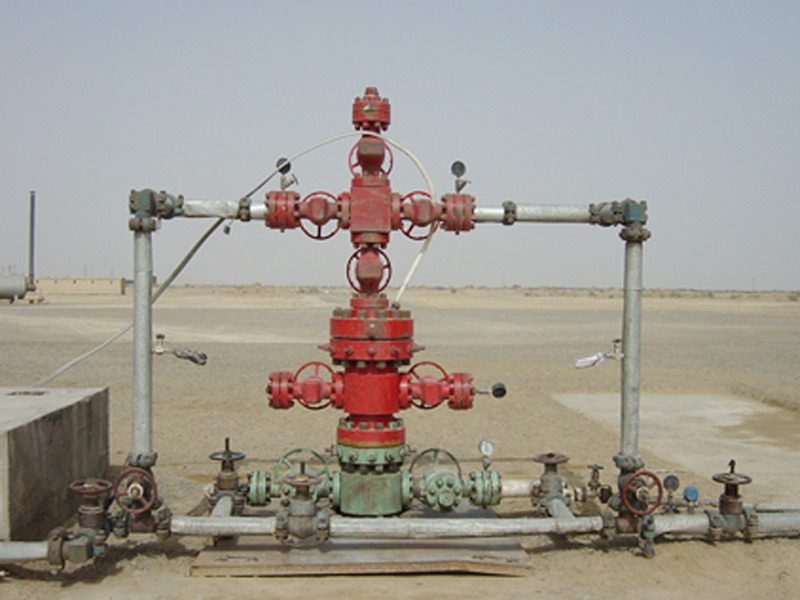 Electric Submersible Progressive Cavity Pump